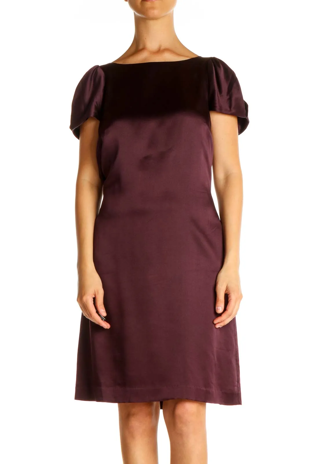 Brown Solid Day A-Line Dress