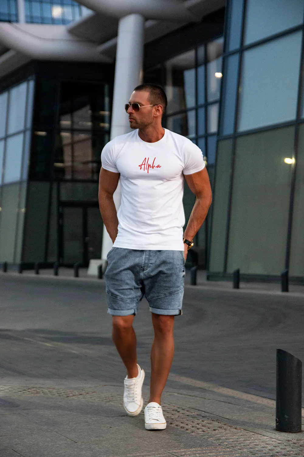 Mens T-shirt "Alpha" MD948