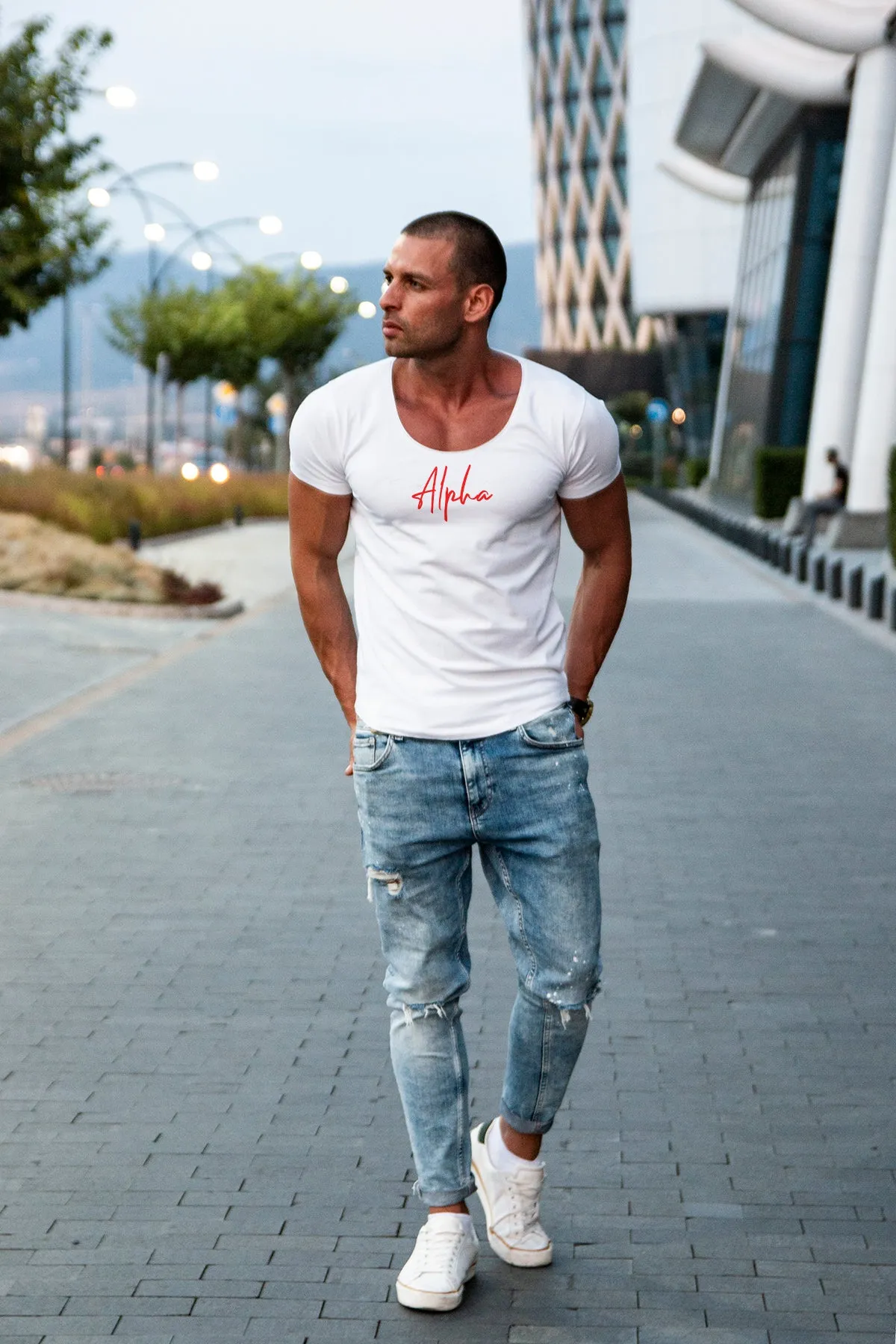 Mens T-shirt "Alpha" MD948